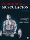 Anatomía de la musculación