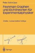 Feynman-Graphen und Eichtheorien für Experimentalphysiker