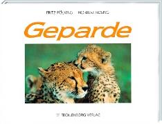 Geparde
