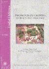 Psicología de grupos I : estructura y procesos