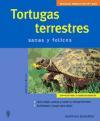 Tortugas terrestres : mascotas en casa