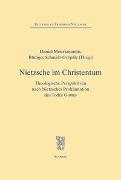 Nietzsche im Christentum
