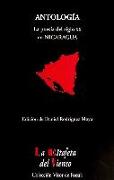 Antología : la poesía del siglo XX en Nicaragua