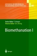 Biomethanation I