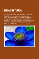 Brachyura