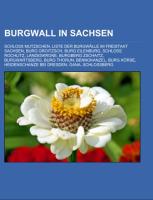 Burgwall in Sachsen