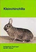 Kleinchinchilla