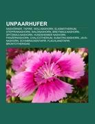 Unpaarhufer