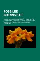 Fossiler Brennstoff