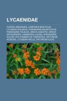 Lycaenidae