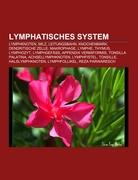 Lymphatisches System