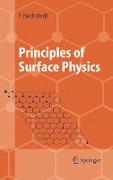 Principles of Surface Physics