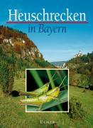 Heuschrecken in Bayern