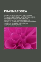 Phasmatodea