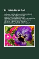 Plumbaginaceae