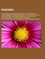 Rhizaria