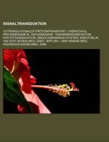 Signaltransduktion