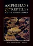 Amphibians and Reptiles Native to Minnesota