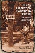 Black Liberation and the American Dream: The Struggle for Racial and Economic Justice: Analysis, Strategy, Readings