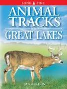 Animal Tracks of the Great Lakes