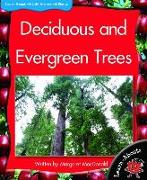 Deciduous and Evergreen Trees