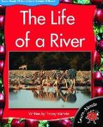 The Life of a River