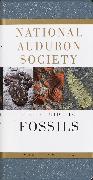 National Audubon Society Field Guide to Fossils
