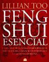 Feng shui esencial : cómo aplicar la antigua sabiduría china para mejorar las relaciones personales, la salud y la fortuna