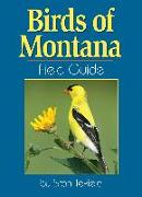 Birds of Montana Field Guide