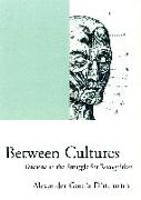 Between Cultures: Tensions in the Struggle for Recognition