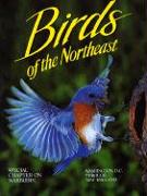 Birds of the Northeast: Washington, D.C. Through New England