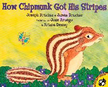 How Chipmunk Got His Stripes