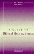 Guide to Biblical Hebrew Syntax