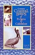 Common Coastal Birds of Florida & the Caribbean