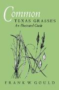 Common Texas Grasses