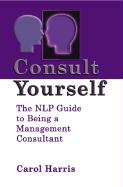 Consult Yourself: The NLP Guide to Being a Management Consultant
