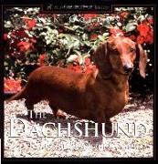 The Dachshund: A Dog for Town and Country