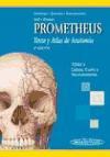 PROMETHEUS. Texto y Atlas de Anatomía. 2ª ed. Tomo 3: Cabeza, Cuello y Neuroanatomía