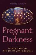The Pregnant Darkness: Alchemy and the Rebirth of Consciousness