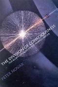 The Division of Consciousness: The Secret Afterlife of the Human Psyche: The Secret Afterlife of the Human Psyche