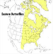 A Peterson Field Guide to Eastern Butterflies