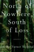 North of Nowhere, South of Loss: Stories