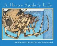 A House Spider's Life (Nature Upclose)