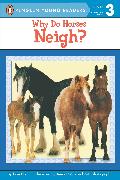 Why Do Horses Neigh?