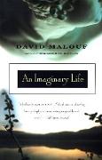 An Imaginary Life