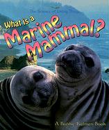 What Is a Marine Mammal?