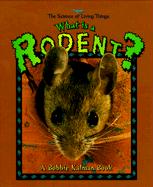 What Is a Rodent?