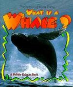 What Is a Whale?