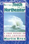 In the Teeth of the Northeaster: A Solo Voyage on Lake Superior