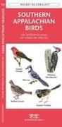 Southern Appalachian Birds: An Introduction to Familliar Species